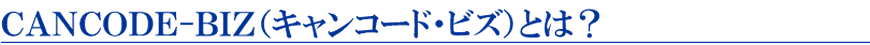 キャンコード・ビズとは？